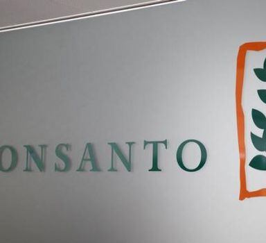 As ideias selecionadas pela Monsanto e Microsoftvão receber um primeiro financiamento de até R$ 1,5 milhão