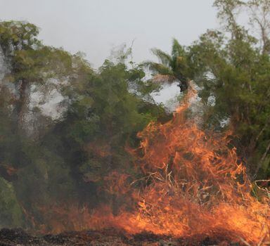 Incêndio em Rondônia neste sábado, 24