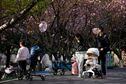 A parents pushes a stroller with a baby in a park in Shanghai, China, April 2, 2023. REUTERS/Aly Song