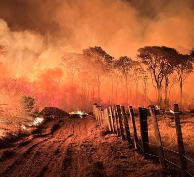 Incêndio no Pantanal em 2023