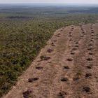 (FILES) Aerial view of deforestation of the native Cerrado (savanna) in Sao Desiderio, west Bahia state, Brazil, taken on September 25, 2023. Brazil is establishing itself more than ever as a global agricultural giant -soya, meat, cotton and now maize- although the agribusiness is also the target of severe criticism, and in the dock for deforestation in Amazonia. (Photo by Florence GOISNARD / AFP)