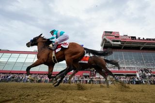 Sete cavalos morreram em Churchill Downs na preparação para o Kentucky Derby, incluindo quatro que quebraram as pernas durante uma corrida ou treinamento