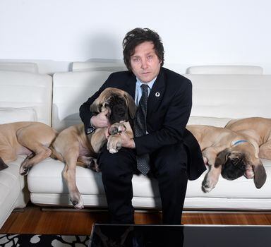 An undated photo provided by Marcelo Dubini/Caras of Javier Milei, a far-right libertarian who might soon be Argentina’s next president, at home with his cloned mastiff puppies in 2018. Milei, who is the favorite in Argentina’s presidential election on Sunday, would head to the country’s presidential offices, the Casa Rosada, not with a spouse and children, but with five mastiffs he has long called his children.(Marcelo Dubini/Caras via The New York Times)  — NO SALES; FOR EDITORIAL USE ONLY WITH NYT STORY SLUGGED ARGENTINA CLONED DOGS BY JACK NICAS FOR OCT. 19, 2023. ALL OTHER USE PROHIBITED. —