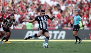 Tiquinho Soares marcou dois gols na vitória por 3 a 2 neste domingo contra o Flamengo 