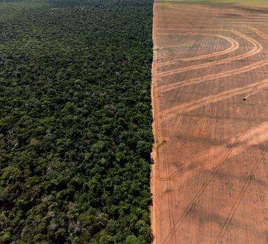 Vista aérea mostra encontro de áreas preservada e degradada em município de São José do Rio Claro, no Mato Grosso