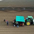 Vista aérea de trabalhadores rurais plantando videiras em Woodland, Califórnia, EUA, em 25 de abril de 2022