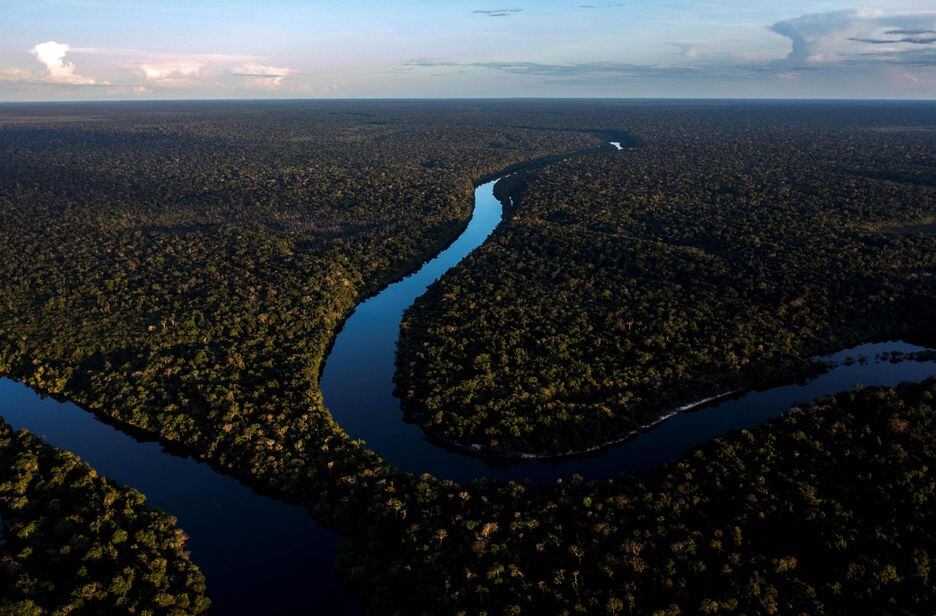 Para os cientista, há cinco Amazônias diferentes