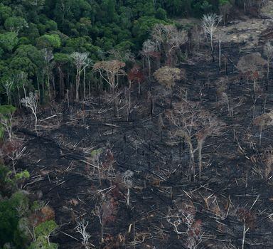Área desmatada na região de Itaituba, no Pará, em setembro de 2019