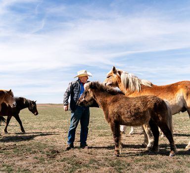 Ed Butcher acaricia um de seus cavalos em um campo a quilômetros da instalação de lançamento do Minuteman III, localizada em seu rancho no condado de Fergus, Montana