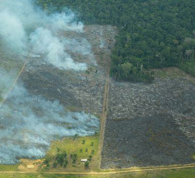 Queimadas na Amazônia, 60% acima da média dos últimos 3 anos, estão ligadas a desmatamento