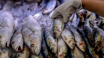Maioria dos pescados de SP vêm do Sul e Sudeste do País, como as sardinhas. Foto: Gabriela Biló/Estadão 