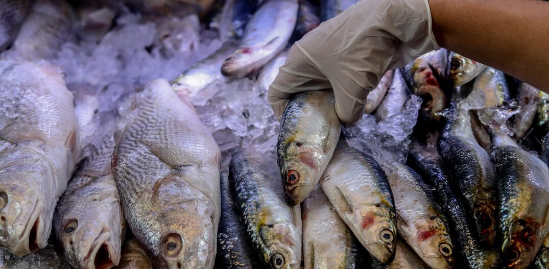Maioria dos pescados de SP vêm do Sul e Sudeste do País, como as sardinhas. Foto: Gabriela Biló/Estadão 