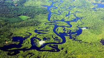'A floresta amazônica desaparecerá por volta do ano 2000', Robert Weil e Bem Bova, 1982. Foto: Dida Sampaio/Estadão