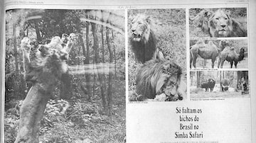 Reportagem sobre a inauguração do Simba Safari no Jornal da Tarde de 6 de abril de 1974. Foto: Acervo Estadão