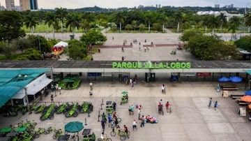 Bienal do Lixo chega a São Paulo no Parque Villa-Lobos