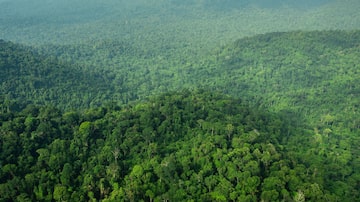  Vista aérea da Floresta Amazônica na cidade de Parauapebas, no Pará