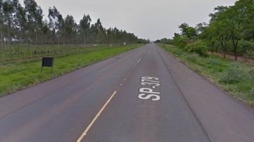O acidente ocorreu na rodovia Roberto Mário Pedrosa (SP-379), em Irapuã, interior de São Paulo. Foto: Reprodução Google Street View