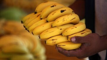 Bananas. Foto: Felipe Rau/Estadão