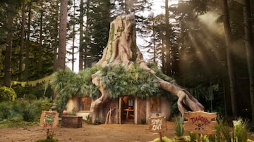 Casa do Shrek no Airbnb. Foto: Reprodução/Airbnb