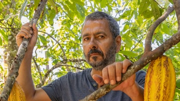 O ator Marcos Palmeira como José Inocêncio na nova versão de 'Renascer'. Foto: Fabio Rocha/TVGlobo