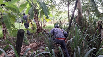 Bombeiros de Marília trabalham no local em que foi achado o corpo de Neto Alonso, de 21 anos, sobrinho do prefeito da cidade. Foto: Corpo de Bombeiros