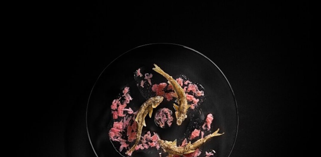 Primavera. o prato baby ayu retrata a mudança das estações, através dos seus elementos, o peixe ayu e as flores de sakura. Foto: Sergio Coimbra|Divulgação 