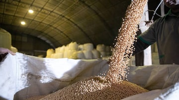 Empresas do agronegócio estão entre 'novatas' em emissões no mercado. Foto: Germano Rorato/Estadão