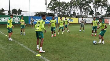 Palmeiras inicia na Venezuela busca pelo tetra da Libertadores. Foto: Cesar Greco/Palmeiras