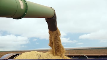 Produtividade média da safra de soja deste ano do grupo Amaggi será de 60 sacas por hectare, melhor desempenho em 39 anos. Foto: Alex Silva