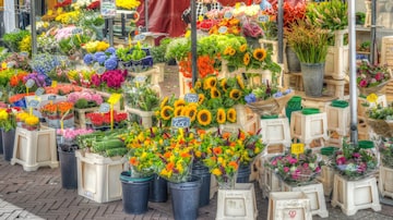 Loja de flores alegra e colorea rua. Foto: Pixabay