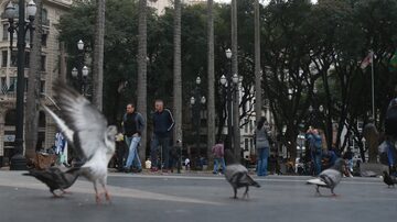 Nas ruas. Quem for flagrado alimentando pombos poderá ser multado em até R$ 20. Foto: WERTHER SANTANA/ESTADÃO