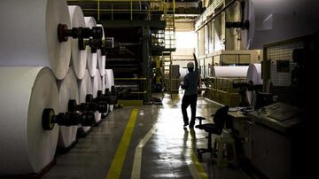 Suzano é uma das maiores empresas de papel e celulose do mundo. Foto: Ricardo Teles/Divulgação Suzano