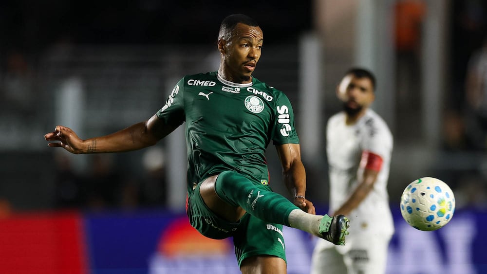 Palmeiras não depende mais apenas de si para ser campeão após vitória do Flamengo; veja calendário