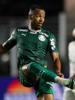 Palmeiras não depende mais apenas de si para ser campeão após vitória do Flamengo; veja calendário