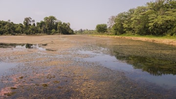 A lagoa de captação do rio Batalha, que abastece 40% da população de Bauru, está quase seca. A cidade entrou em estado de emergência. Foto:  DAE-Bauru/Divulgação