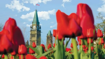 Ottawa, a capital do Canadá, está entre os destinos do Canadá que recebem voos dos Estados Unidos -. Foto: Ottawa Tourism/Divulgação