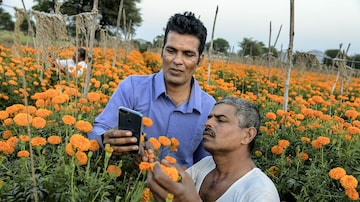 Anil Bandawane, à esquerda, criou um grupo de WhatsApp para agricultores de toda a Índia compartilharem conhecimentos. Foto: Atul Loke para The New York Times