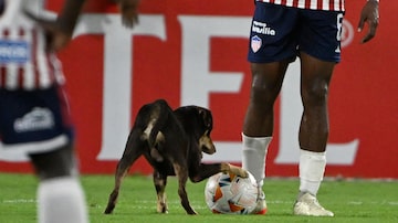 A dog enters the pitch during the Copa Libertadores group stage first leg football match between Colombia's Junior and Peru's Universitario at the Metropolitano Roberto Melendez Stadium in Barranquilla, Colombia, on April 9, 2024. (Photo by Luis ACOSTA / AFP). Foto: Luis Acosta/LUIS ACOSTA