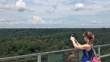 O mirante do Museu da Amazônia, em Manaus, mostra um trecho de floresta de cima. Foto: Fernando Victorino @ComoViaja
