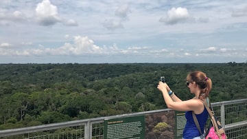O mirante do Museu da Amazônia, em Manaus, mostra um trecho de floresta de cima. Foto: Fernando Victorino @ComoViaja