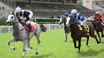 Corridas de cavalo devem ser proibidas na capital paulista, prevê proposta de vereador. Foto: PORFÍRIO MENEZES | Jockey Club de São Paulo