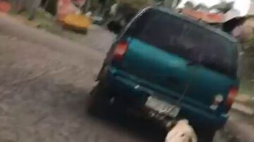 O registro do cachorro amarrado sendo arrastado por um carro foi feito por uma motorista em Ijuí, no Rio Grande do Sul. Foto: Reprodução