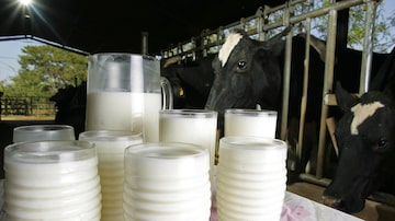 Verde Campofoi a primeira a lançar iogurte zero lactose no País, em 2011. Foto: Epitácio Pessoa/Estadão