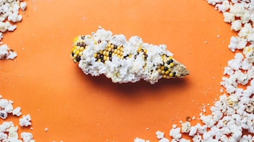 Espiga de milho colorido estourado. Foto: Douglas Issa