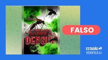 Print do vídeo "A Verdade sobre a Dengue". Estadão Verifica classificou como falso. Foto: Reprodução/Telegram