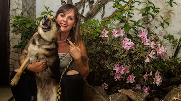 Maricy Ambrosioadotou o cachorro Buddy após ele sofrer maus tratos. Foto: Rafael Arbex /Estadão. Foto: Rafael Ambrósio/ Estadão
