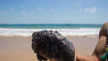 Óleo atingiu mais de 500 localidades do Nordeste, como a Praia do Cupe, em Pernambuco. Foto: Tiago Queiroz/Estadão