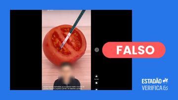 Vídeo que mostraria um teste de gravidez de farmácia dando positivo em um tomate. O Estadão Verifica classificou esse conteúdo como falso. Foto: Reprodução/Facebook