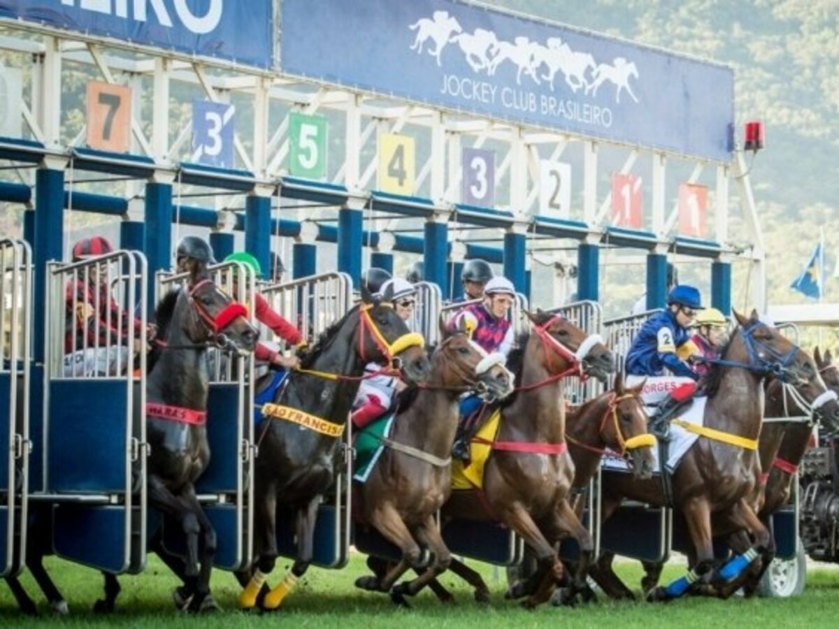 Mesmo sem autorização da prefeitura do Rio, Jockey Club Brasileiro retoma  corridas - Estadão