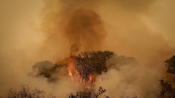 Pantanal enfrenta a maior série de queimadas das últimas duas décadas, segundo dados do Instituto Nacional de Pesquisas Espaciais (Inpe). Foto: Dida Sampaio/ Estadão